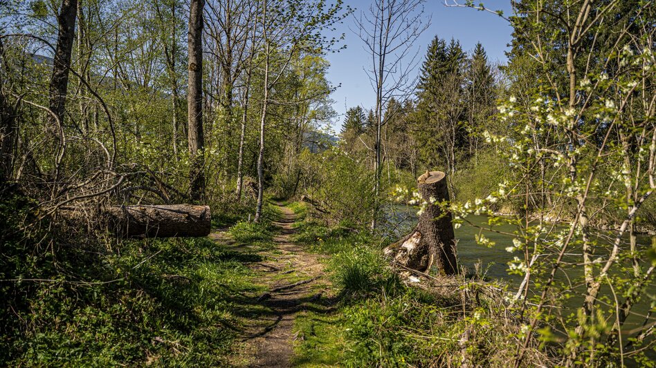 Hiking route Markt Haus - Ruperting - Markt Haus - Touren-Impression #2.7 | © Gerhard Pilz