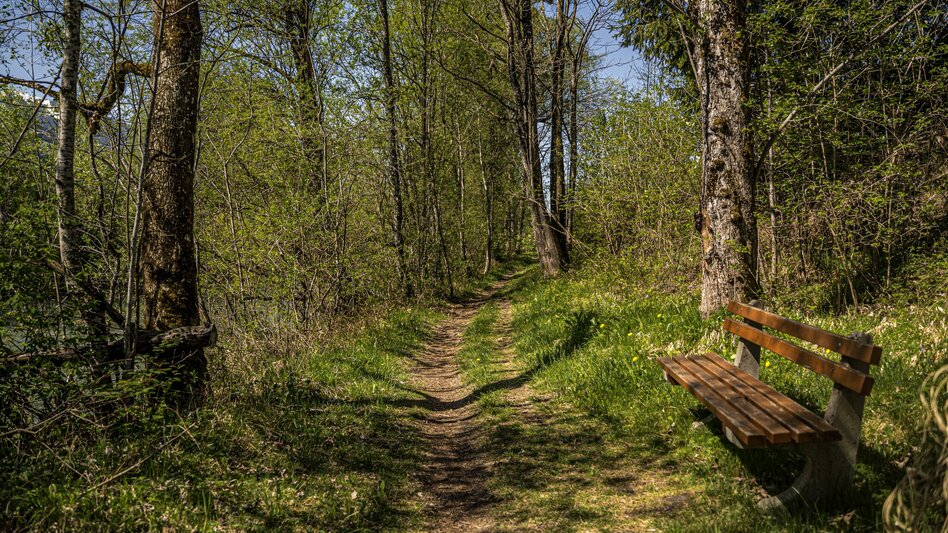 Hiking route Markt Haus - Ruperting - Markt Haus - Touren-Impression #2.9 | © Gerhard Pilz