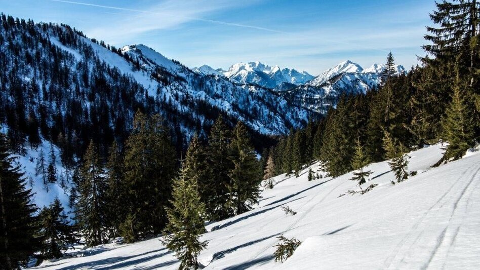 Ski Touring Skitour Buchberg von Gams - Touren-Impression #2.1 | © TV Gesäuse