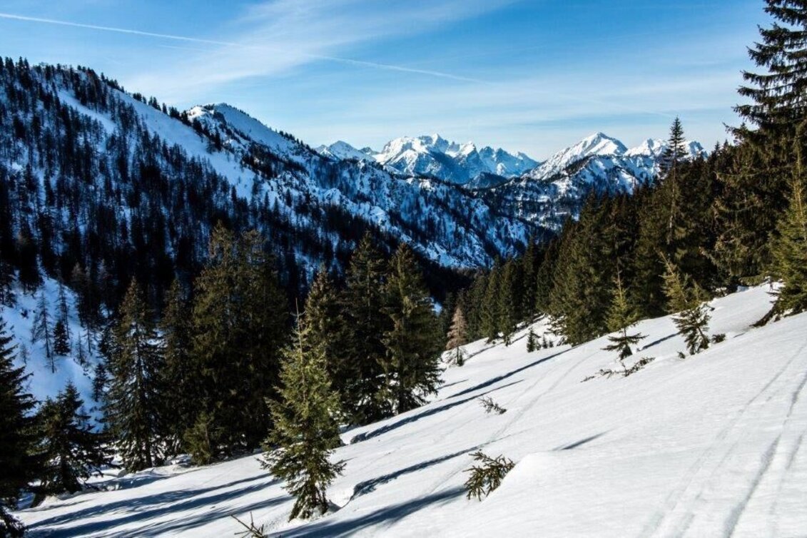 Ski Touring Skitour Buchberg von Gams - Touren-Impression #1 | © TV Gesäuse