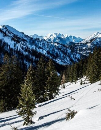 Salzabauernalm mit schönen Hängen | Tourismusverband Gesäuse | © TV Gesäuse