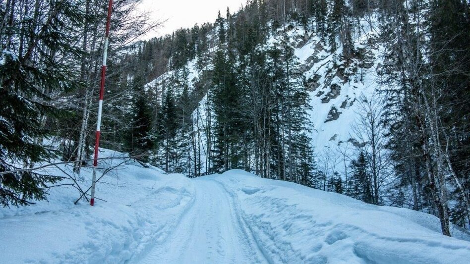 Ski Touring Skitour Buchberg von Gams - Touren-Impression #2.2 | © TV Gesäuse