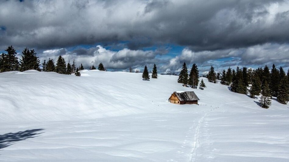 Ski Touring Skitour Buchberg von Gams - Touren-Impression #2.4 | © TV Gesäuse