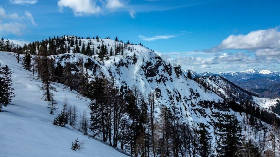 Ski Touring Skitour Buchberg von Gams - Touren-Impression #2.5 | © TV Gesäuse