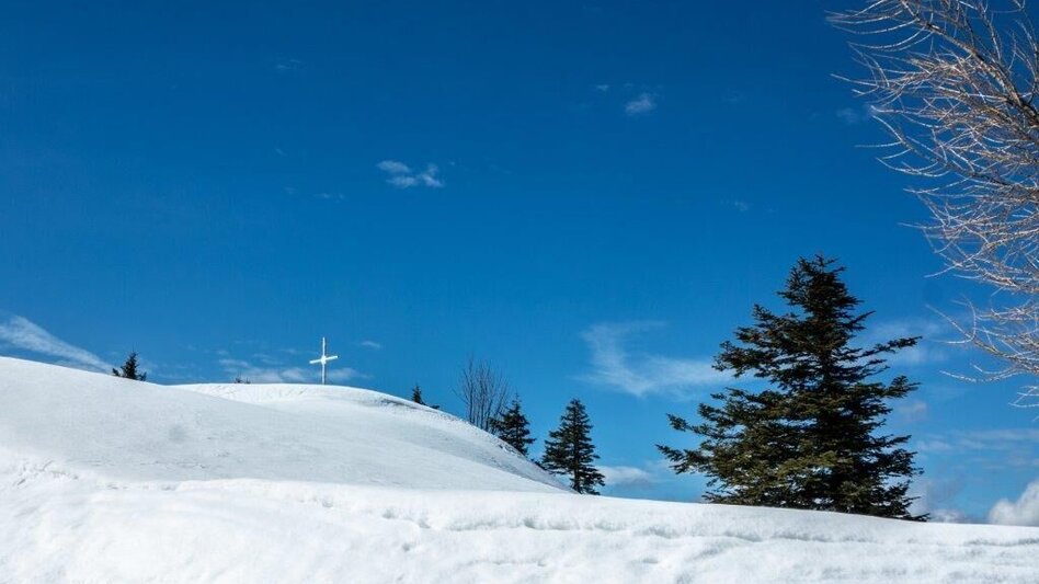 Ski Touring Skitour Buchberg von Gams - Touren-Impression #2.6 | © TV Gesäuse