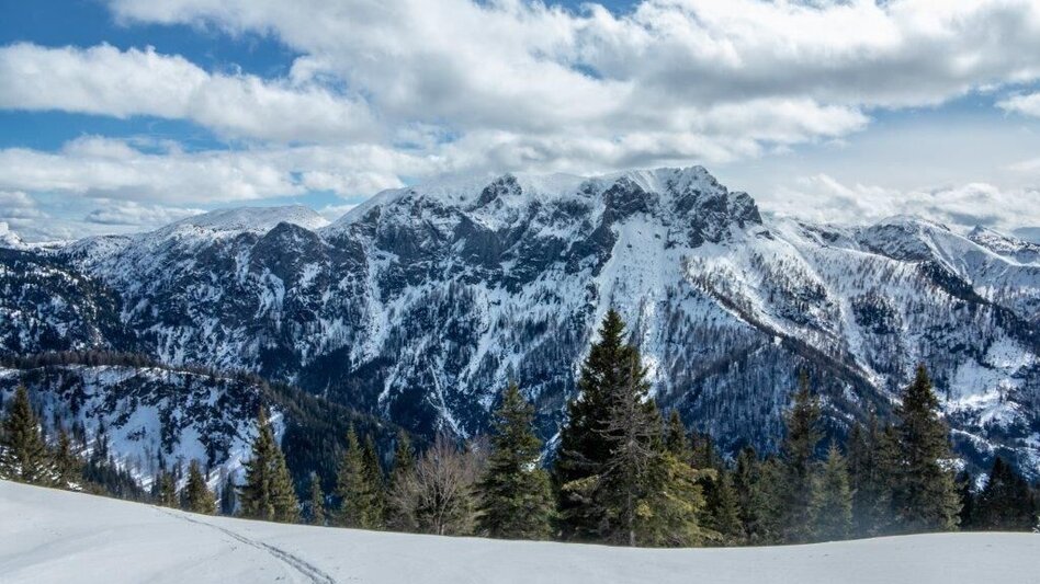 Ski Touring Skitour Buchberg von Gams - Touren-Impression #2.8 | © TV Gesäuse