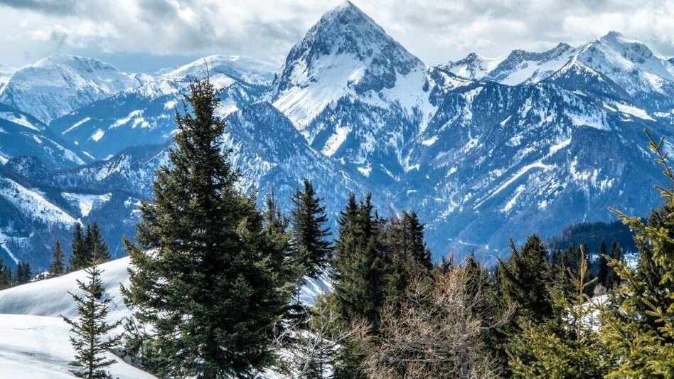 Ski Touring Skitour Buchberg von Gams - Touren-Impression #2.9 | © TV Gesäuse