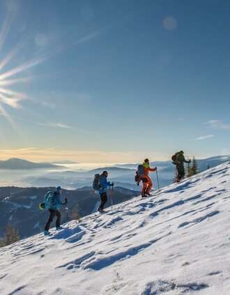 Der Gipfelhang des Rosenkogel im Aufstieg | Team Erlebnisregion Murtal | © Martin Edlinger