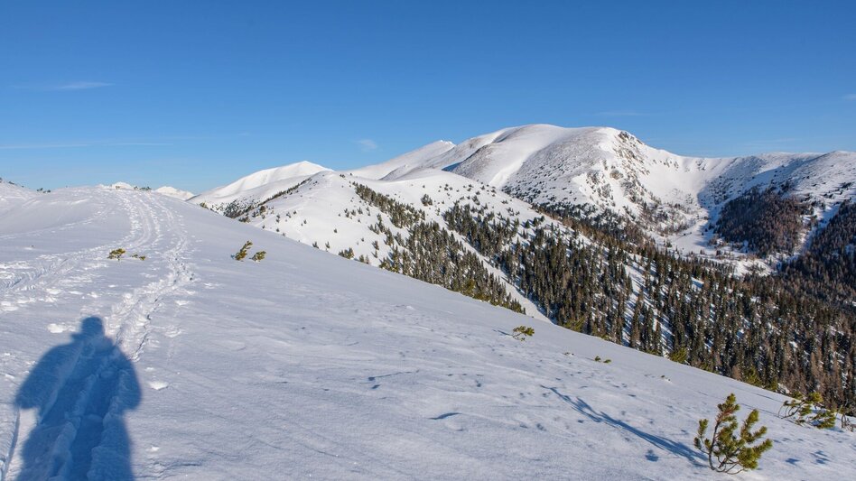 Ski Touring Rosenkogel - Touren-Impression #2.2 | © Martin Edlinger