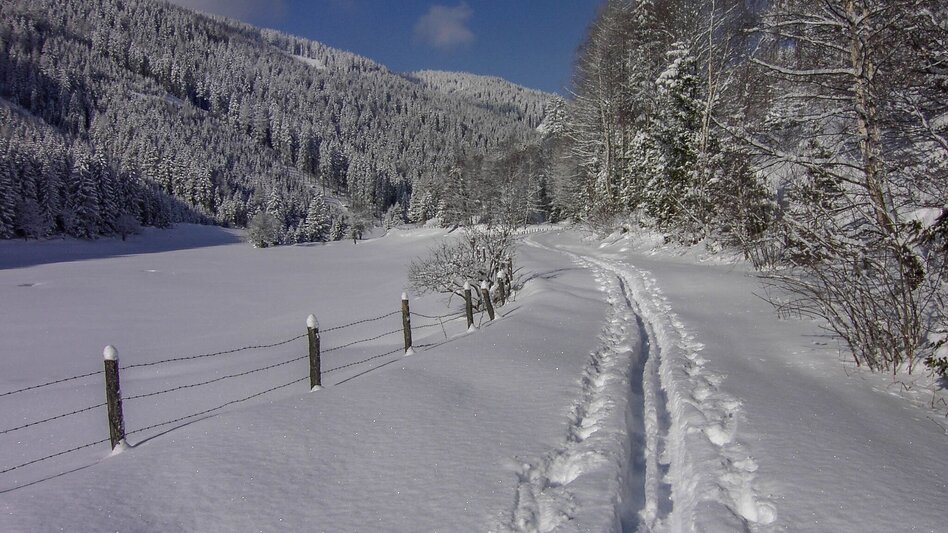 Ski Touring Rosenkogel - Touren-Impression #2.9 | © Martin Edlinger