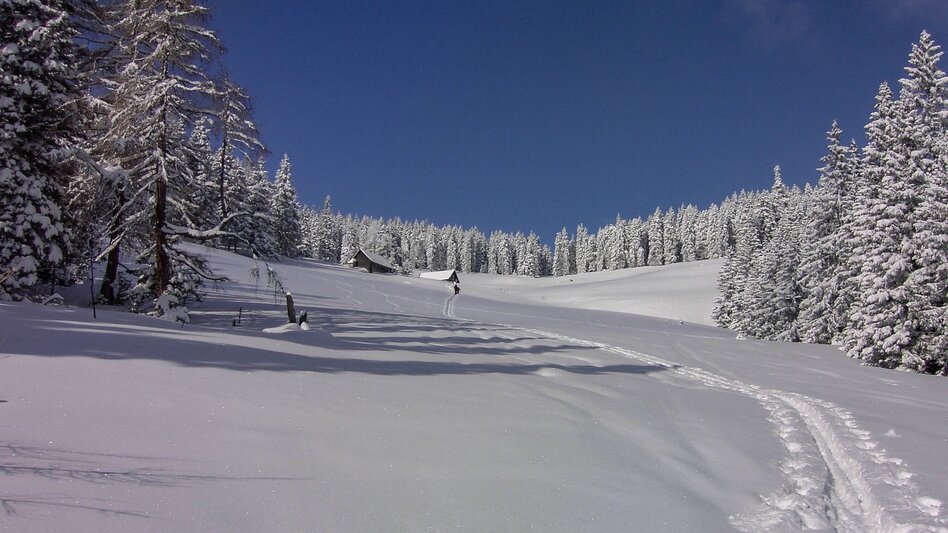 Ski Touring Rosenkogel - Touren-Impression #2.10 | © Martin Edlinger