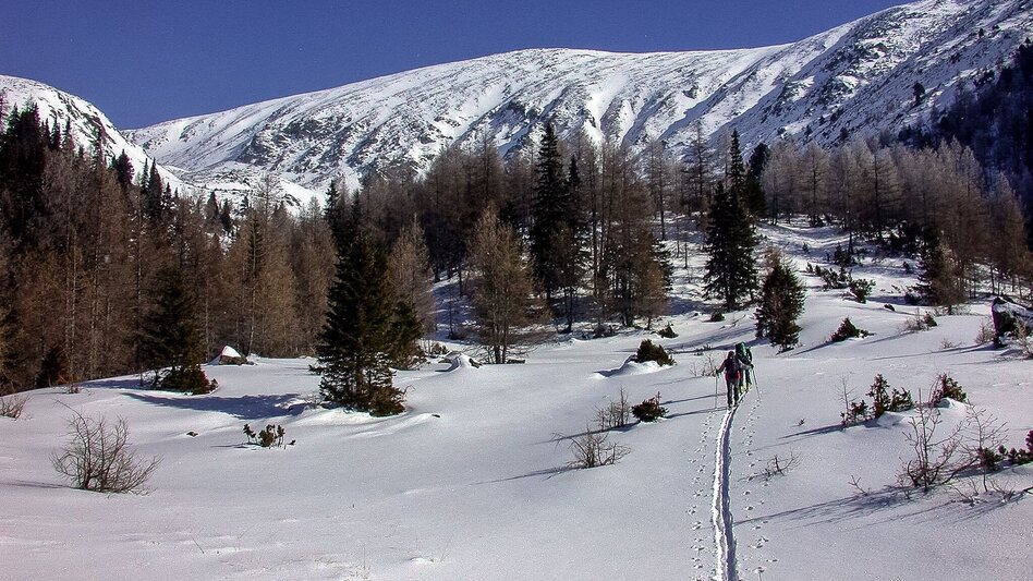 Ski Touring Ski tour on the Pletzen - Touren-Impression #2.1 | © Matin Edlinger
