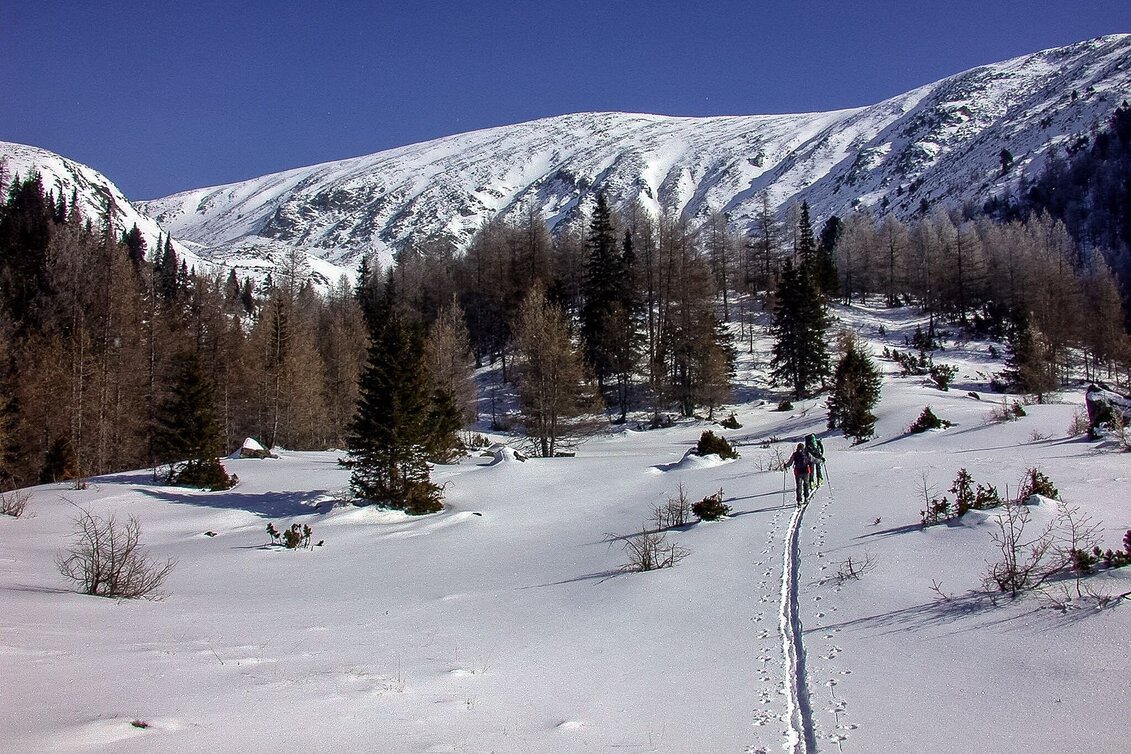 Ski Touring Ski tour on the Pletzen - Touren-Impression #1 | © Matin Edlinger
