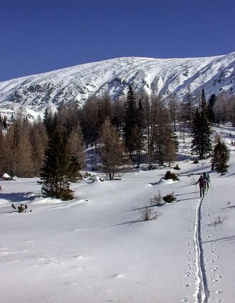 Die Ochsenalm | Martin Edlinger | © Matin Edlinger