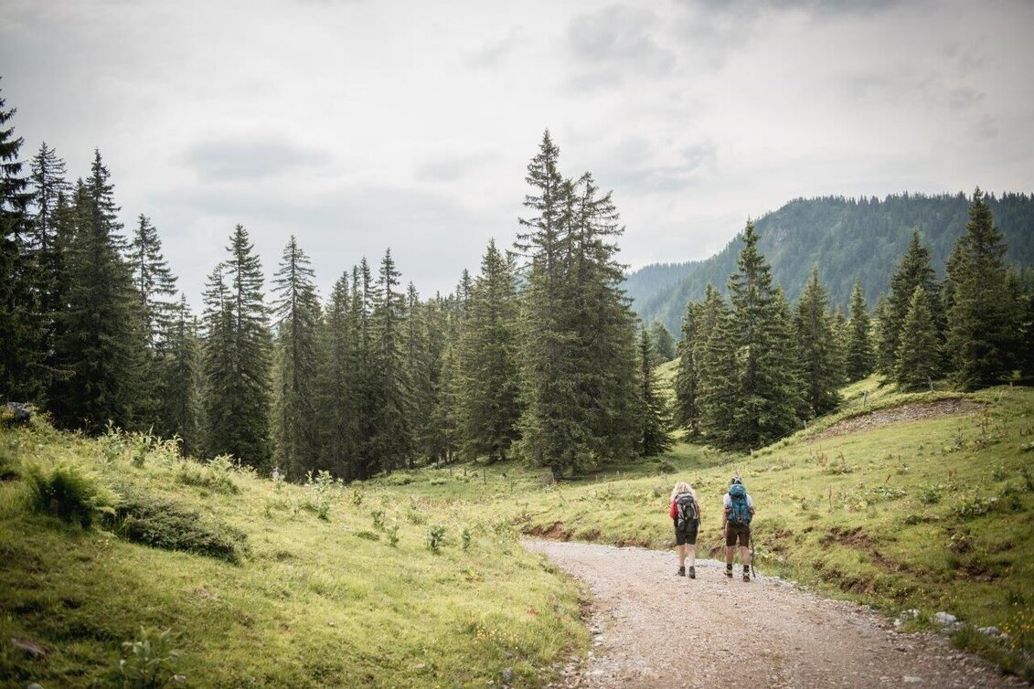 Wanderung Etappe 02 Gesäuse Hüttenrunde Mödlingerhütte – Hesshütte - Touren-Impression #1 | © TV Gesäuse
