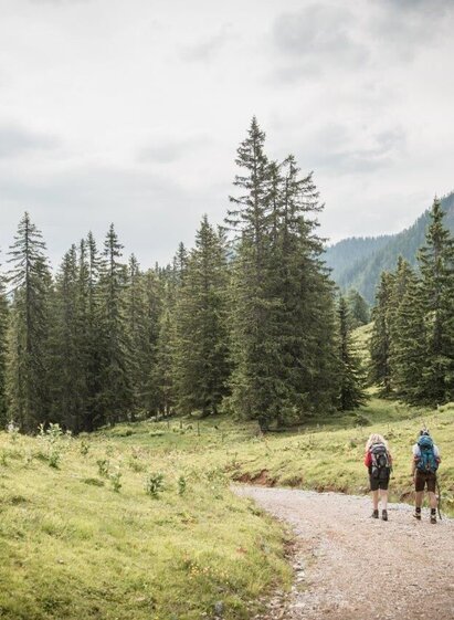 Ersten Meter von Mödlingerhütte nach Johnsbach | © TV Gesäuse | Stefan Leitner | © TV Gesäuse