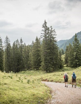 Ersten Meter von Mödlingerhütte nach Johnsbach | Stefan Leitner | © TV Gesäuse