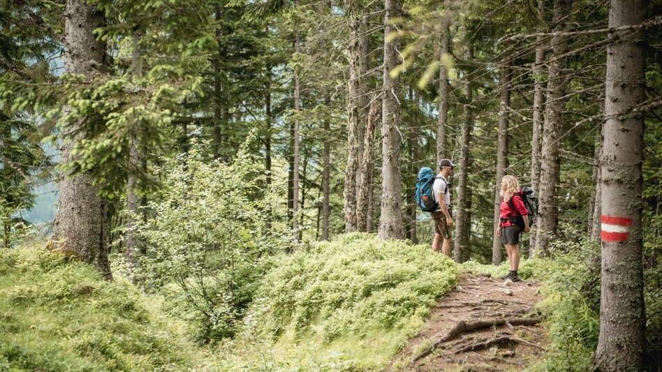 Wanderung Etappe 02 Gesäuse Hüttenrunde Mödlingerhütte – Hesshütte - Touren-Impression #2.3 | © TV Gesäuse