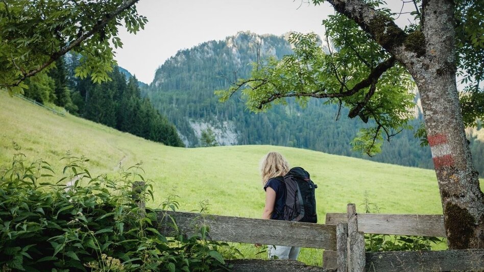 Wanderung Etappe 02 Gesäuse Hüttenrunde Mödlingerhütte – Hesshütte - Touren-Impression #2.4 | © TV Gesäuse