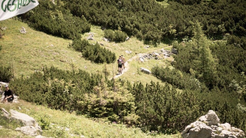 Wanderung Etappe 02 Gesäuse Hüttenrunde Mödlingerhütte – Hesshütte - Touren-Impression #2.6 | © TV Gesäuse