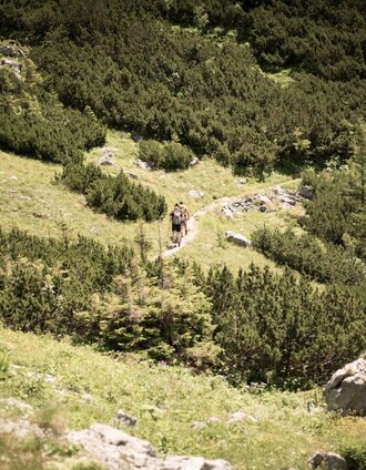 Erste Wegmeter von Hesshütte | Tourismusverband Gesäuse | © TV Gesäuse