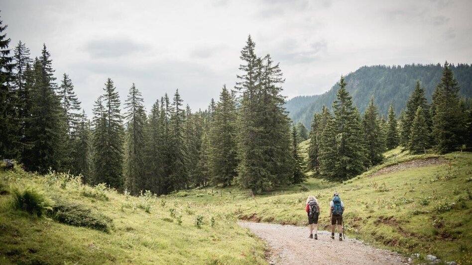 Wanderung Etappe 03 Gesäuse Hüttenrunde Hesshütte - Ennstalerhütte - Touren-Impression #2.2 | © TV Gesäuse