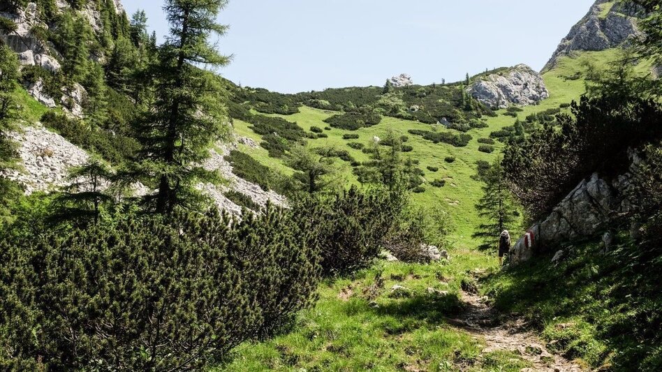 Wanderung Etappe 03 Gesäuse Hüttenrunde Hesshütte - Ennstalerhütte - Touren-Impression #2.3 | © TV Gesäuse