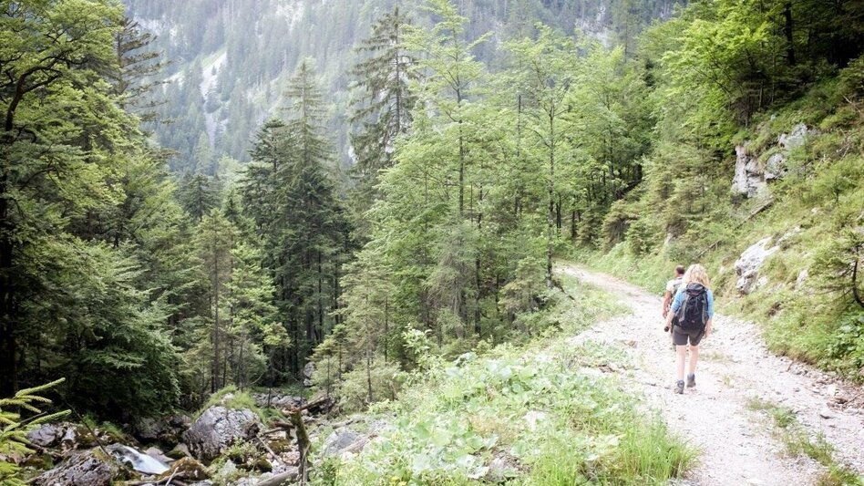 Wanderung Etappe 03 Gesäuse Hüttenrunde Hesshütte - Ennstalerhütte - Touren-Impression #2.8 | © TV Gesäuse