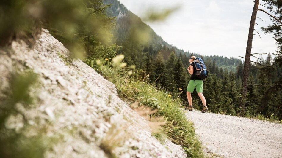 Wanderung Etappe 03 Gesäuse Hüttenrunde Hesshütte - Ennstalerhütte - Touren-Impression #2.11 | © TV Gesäuse