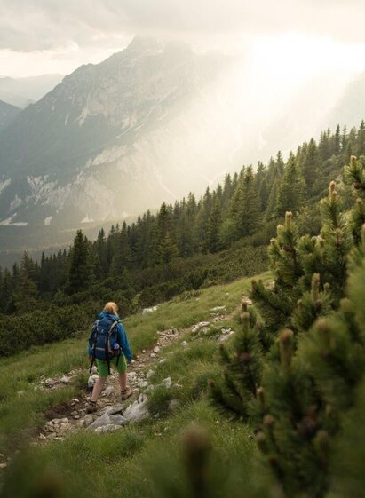 Abstieg nach Gstatterboden | © TV Gesäuse | Tourismusverband Gesäuse | © TV Gesäuse