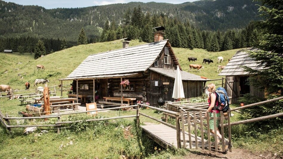 Wanderung Etappe 04 Gesäuse Hüttenrunde Ennstalerhütte - Haindlkarhütte - Touren-Impression #2.4 | © TV Gesäuse