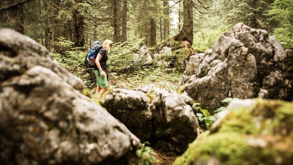 Wanderung Etappe 04 Gesäuse Hüttenrunde Ennstalerhütte - Haindlkarhütte - Touren-Impression #2.5 | © TV Gesäuse
