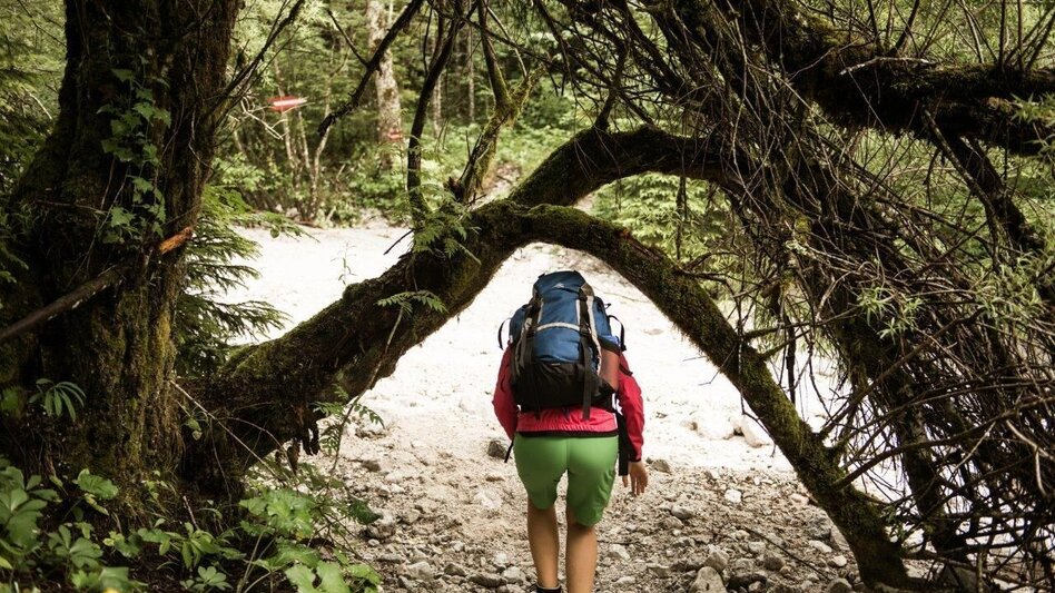 Wanderung Etappe 04 Gesäuse Hüttenrunde Ennstalerhütte - Haindlkarhütte - Touren-Impression #2.6 | © TV Gesäuse