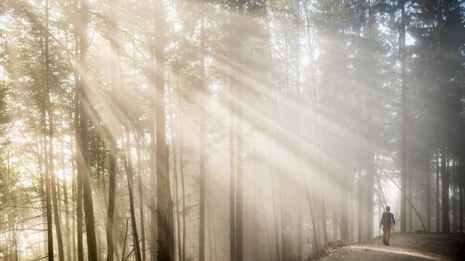 Wanderung Etappe 06 Gesäuse Hüttenrunde Admonterhaus - Rohrauerhaus - Touren-Impression #2.3 | © TV Gesäuse