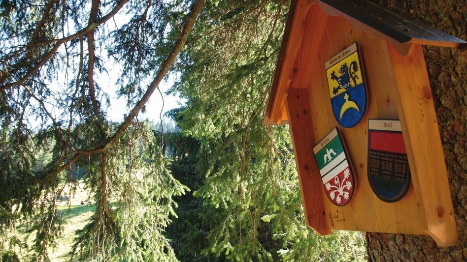 Wanderung Etappe 06 Gesäuse Hüttenrunde Admonterhaus - Rohrauerhaus - Touren-Impression #2.5 | © TV Gesäuse