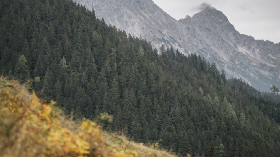 Wanderung Etappe 07 Gesäuse Hüttenrunde Rohrauerhaus - Admont - Touren-Impression #2.3 | © TV Gesäuse