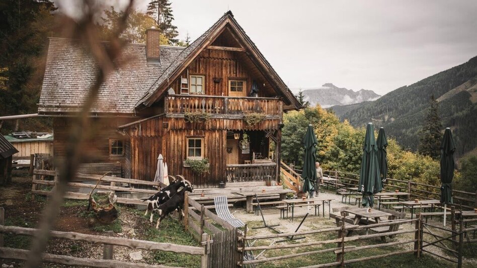 Wanderung Etappe 07 Gesäuse Hüttenrunde Rohrauerhaus - Admont - Touren-Impression #2.4 | © TV Gesäuse