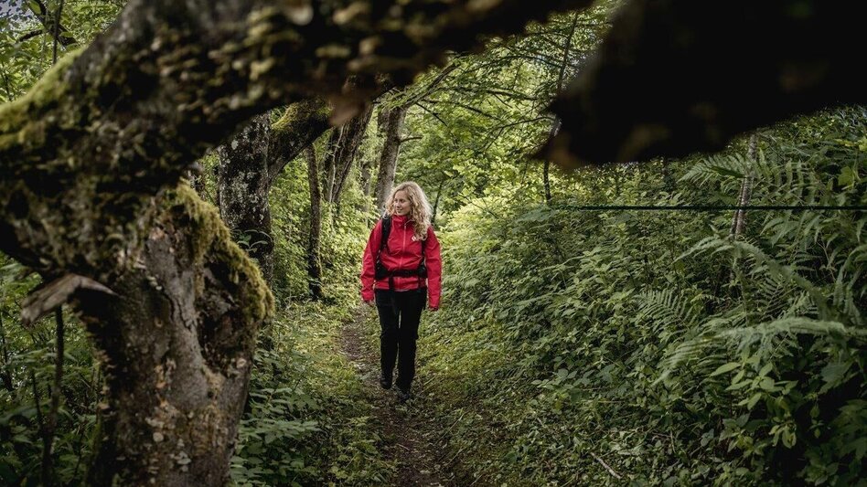 Wanderung Etappe 07 Gesäuse Hüttenrunde Rohrauerhaus - Admont - Touren-Impression #2.6 | © TV Gesäuse