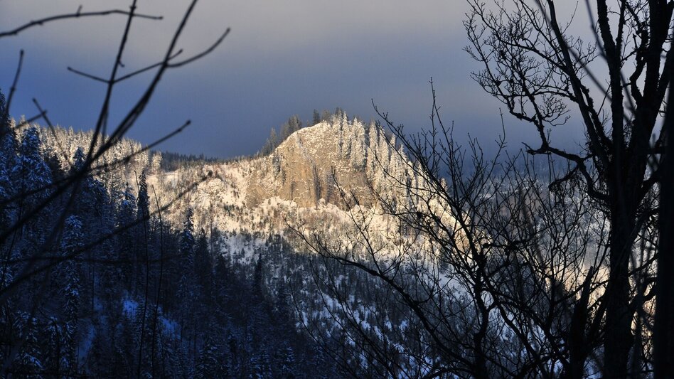 Ski Touring Skitour auf das Schönhaltereck - Touren-Impression #2.4 | © TV Hochsteiermark