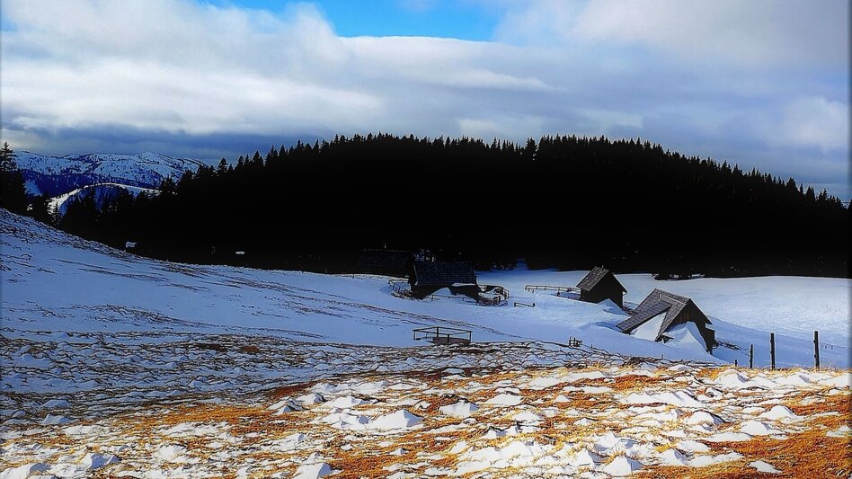 Ski Touring Skitour auf die Lachalm im Naturpark Mürzer Oberland - Touren-Impression #2.3 | © TV Hochsteiermark