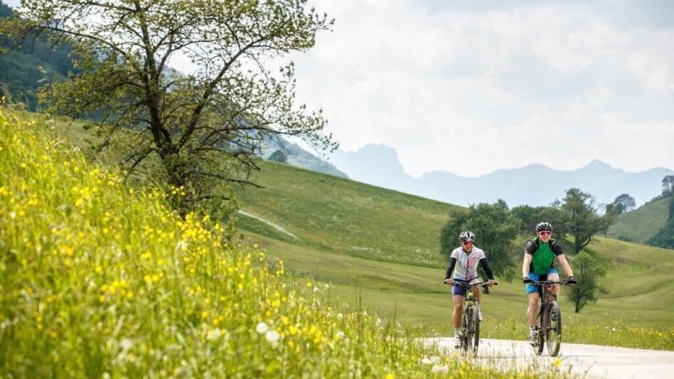 Mountain Biking Trans National Park Stage 01 Into the Kalkalpen National Park - Touren-Impression #2.3 | © TV Gesäuse