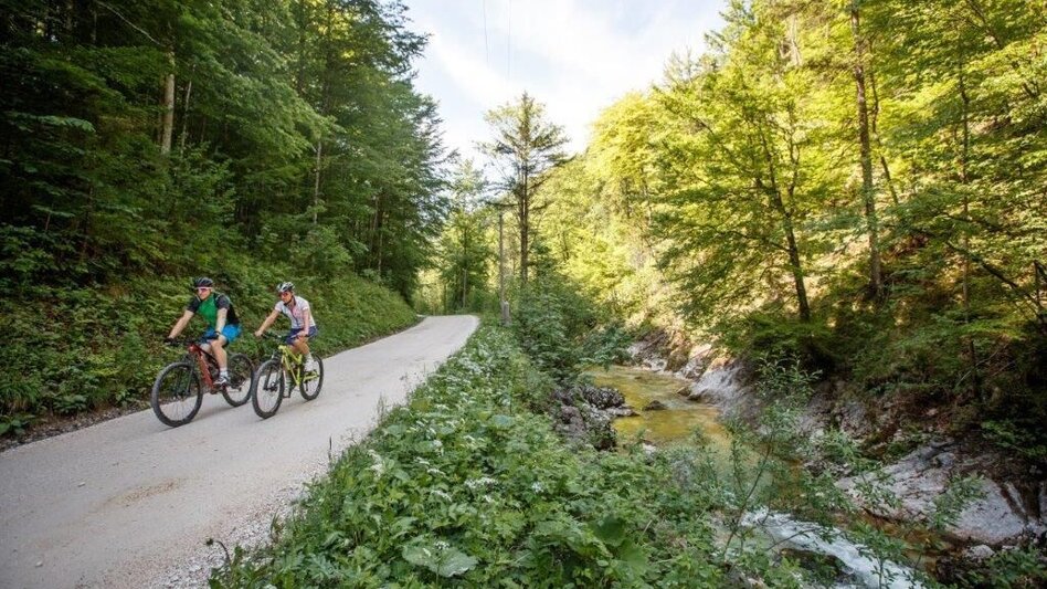 Mountain Biking Trans National Park Stage 01 Into the Kalkalpen National Park - Touren-Impression #2.6 | © TV Gesäuse
