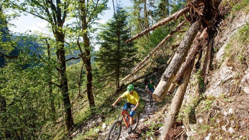 Mountain Biking Trans National Park Stage 01 Into the Kalkalpen National Park - Touren-Impression #2.9 | © TV Gesäuse