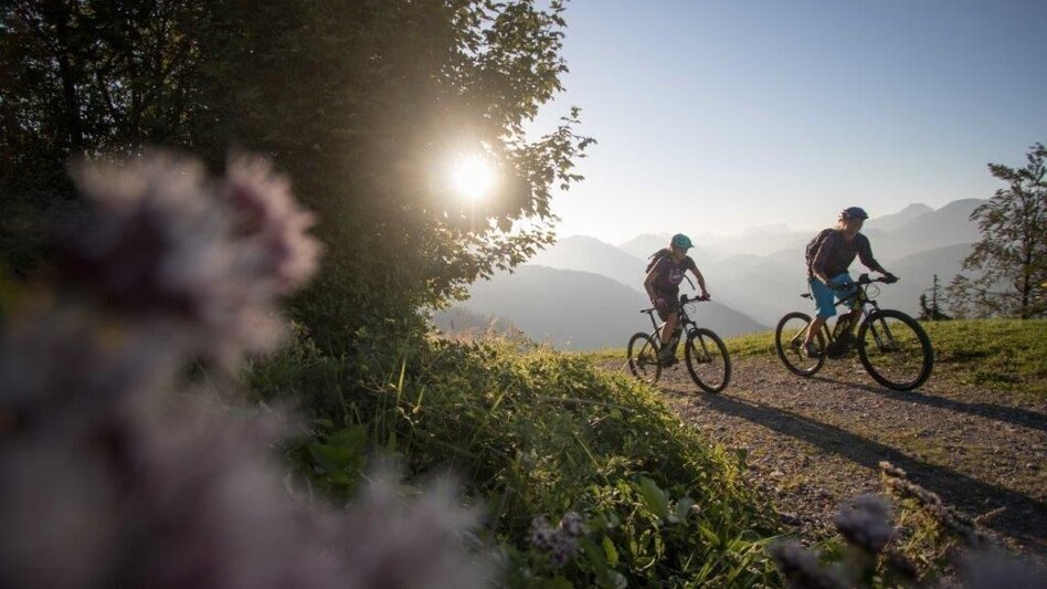 Mountain Biking Trans National Park Stage 02 Over alpine pastures into Styria - Touren-Impression #2.3 | © TV Gesäuse