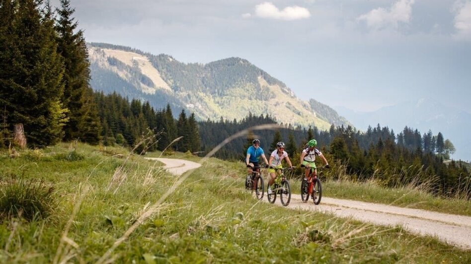 Mountain Biking Auf den Spuren der Waldbahn - Touren-Impression #2.1 | © TV Gesäuse