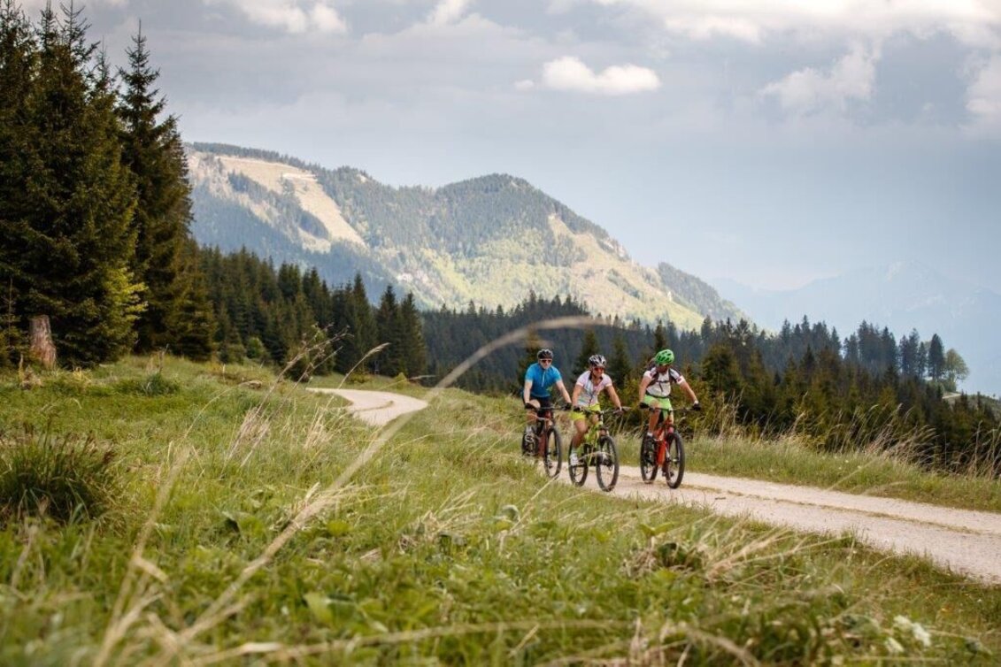 Mountain Biking Auf den Spuren der Waldbahn - Touren-Impression #1 | © TV Gesäuse