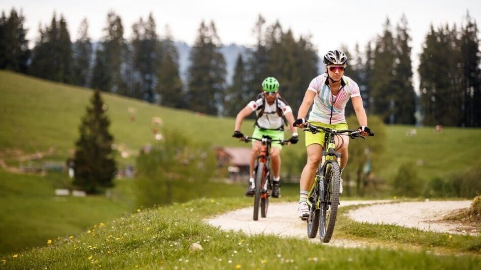 Mountain Biking Auf den Spuren der Waldbahn - Touren-Impression #2.4 | © TV Gesäuse