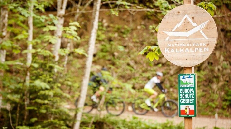 Mountain Biking Auf den Spuren der Waldbahn - Touren-Impression #2.7 | © TV Gesäuse