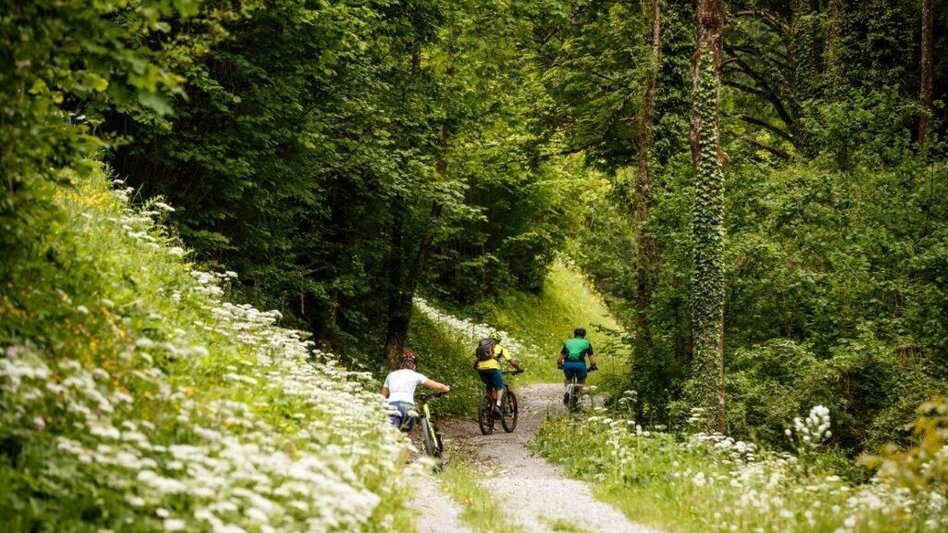 Mountain Biking Vom Ennstal ins Steyrtal - Touren-Impression #2.1 | © TV Gesäuse