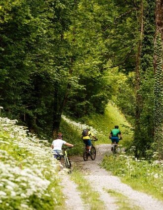 Schreibachfall  Pfaffenboden  Grünburgerhütte ET 8 | Tourismusverband Gesäuse | © TV Gesäuse